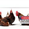 WXSW Dinosaur Warning Sign Aluminum Yard Decor Durable-2