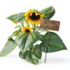 Island Genius Grow Dammit Garden Sign Rusted Steel Vintage-2