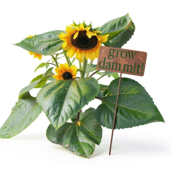 Island Genius Grow Dammit Garden Sign Rusted Steel Vintage-2