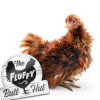 Bigtime Signs Chicken Coop Sign PVC Weatherproof Yard Decor-2