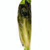 Whole Foods 365 Fresh Cut Carrots 12 Ounce Bag Model 188557-6